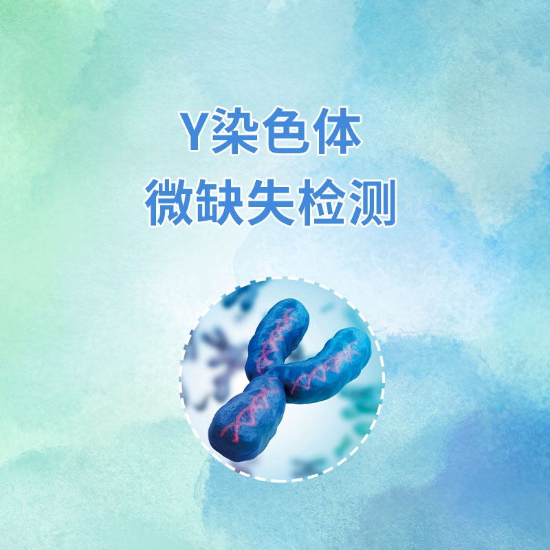 Y染色体微缺失检测